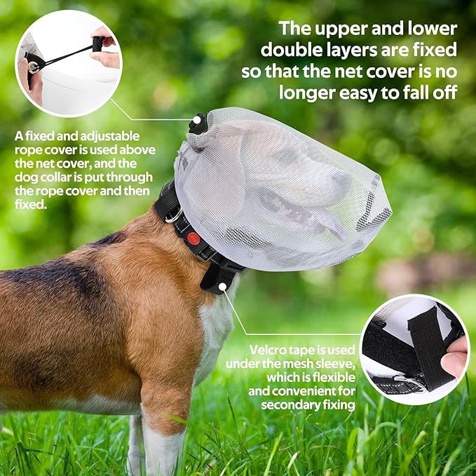 🐶 Breathable Dog Hood Set – Comfort, Protection Style for Your Furry Friend